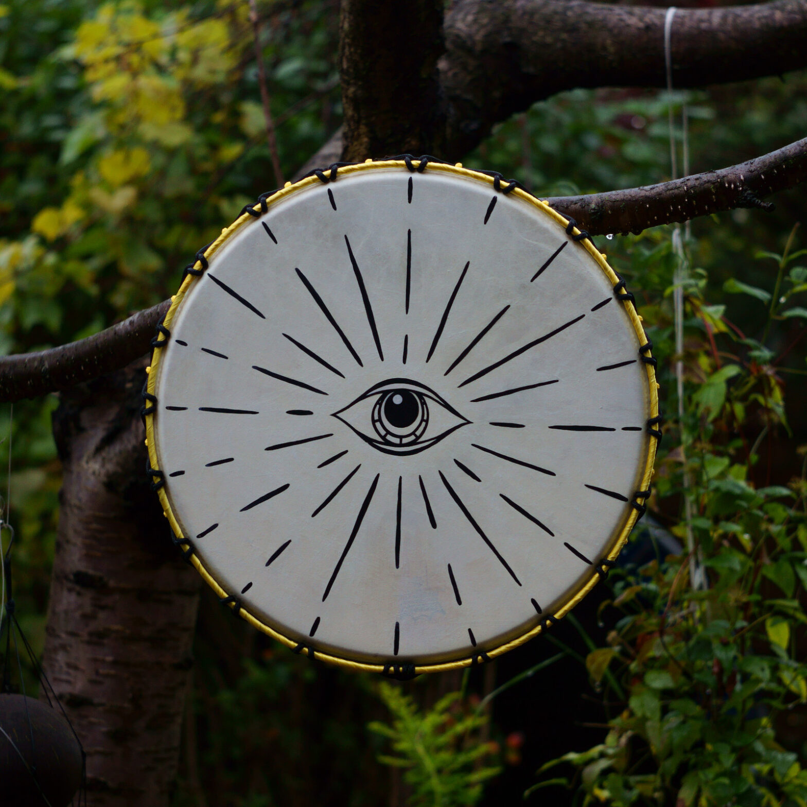 vegan shamanic drum